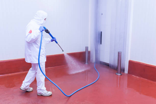 Reliable Agua Dulce, CA Pressure Washing Services Solutions